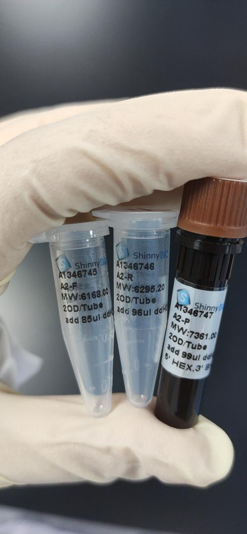 技术服务与实验室设备合规指南 I类医疗器械、化工原料及产品的管理要点
